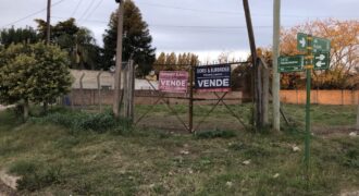 Lotes en calle Alberdi y Piedrabuena (RETASADO)