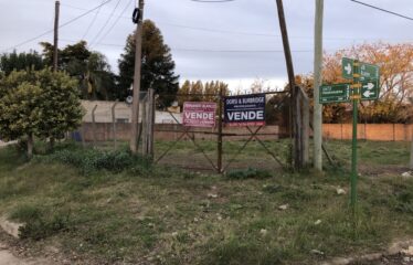 Lotes en calle Alberdi y Piedrabuena (RETASADO)