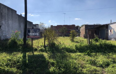 Lote en Calle 221 José Ingenieros (VENDIDO)