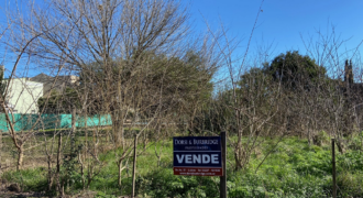 Lote en calle 244 a mts. de H. Irigoyen-Barrio Ruralia (RETASADO)