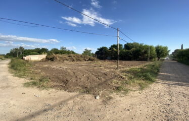 Lote en calle Ajo y 247