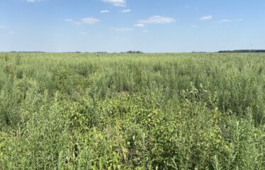Campo sin mejoras en Roque Perez frente a ruta 205