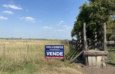 Campo de 24 has. con mejoras en Roque Perez frente ruta 205