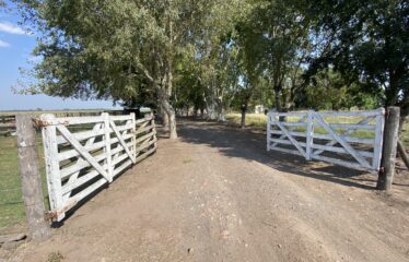 Campo de 24 has. con mejoras en Roque Perez frente ruta 205