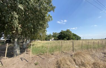 Campo de 24 has. con mejoras en Roque Perez frente ruta 205