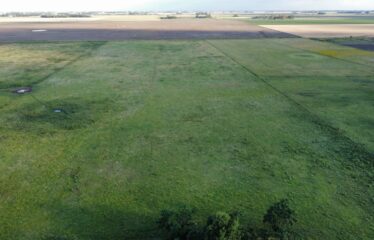 Campo de 24 has. con mejoras en Roque Perez frente ruta 205