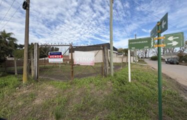 Lotes en calle Alberdi y Piedrabuena (RETASADO)