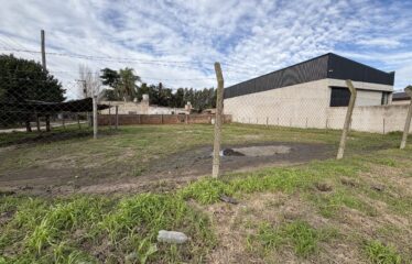 Lotes en calle Alberdi y Piedrabuena (RETASADO)