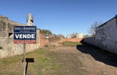 Lote en calle Olavarrieta 1050