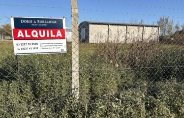 Galpón en calle Libertad a 300 mts. de ruta 205. (ALQUILER)