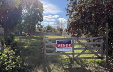 Lote en calle Chacabuco entre 226 y 228