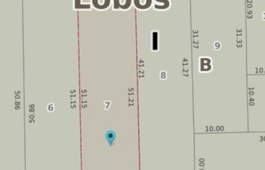 Lote en calle Chacabuco al 650