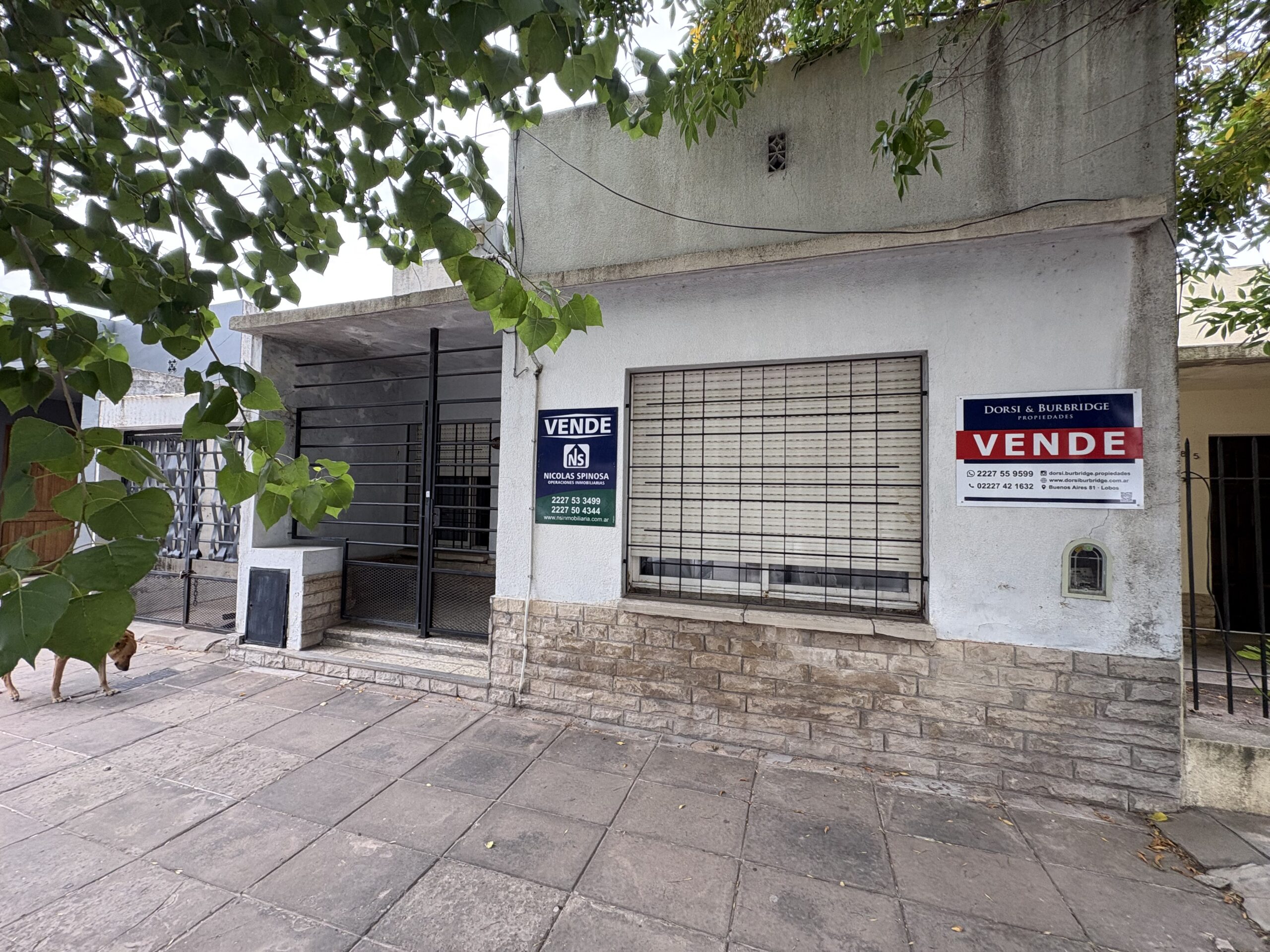 Casa en calle Belgrano 823