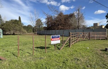 Lote en calle Caminos entre 226 y 228
