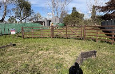 Lote en calle Caminos entre 226 y 228