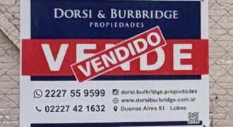 Calle Estrada 50 cancha de padel (VENDIDO)
